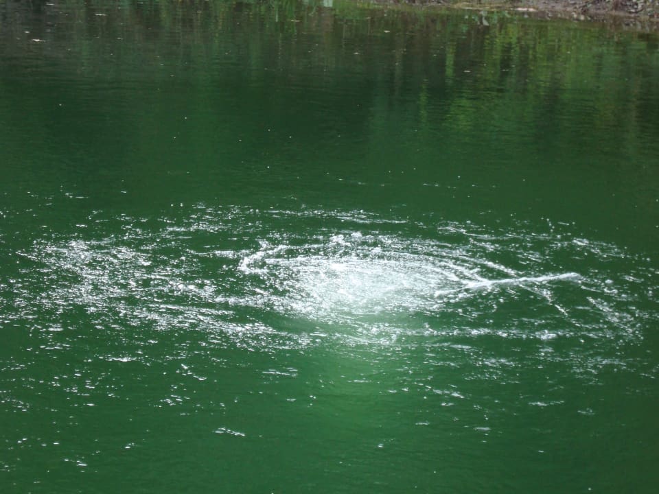 Pond Aerators